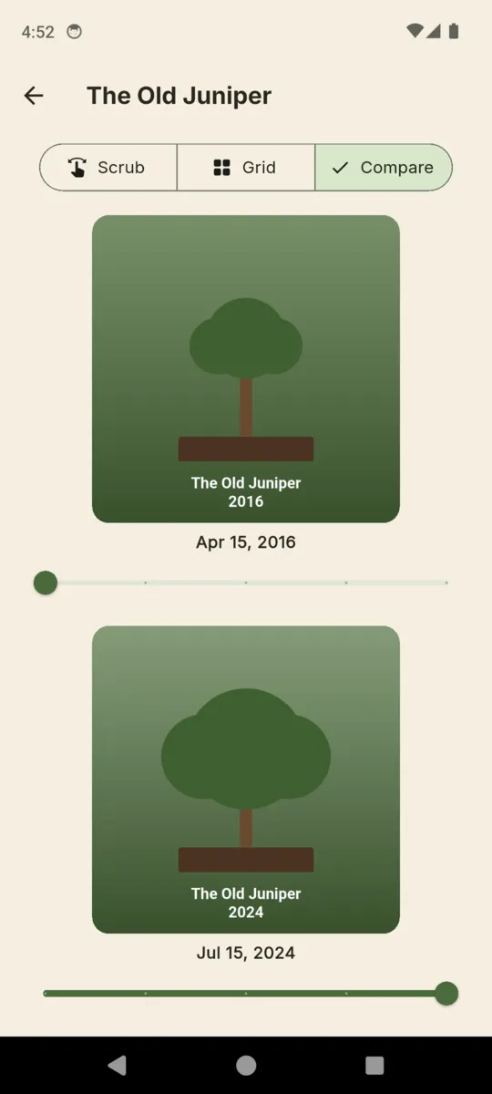 BonsaiLog compare mode: the same juniper in April 2016 and July 2024, each photo with its own slider