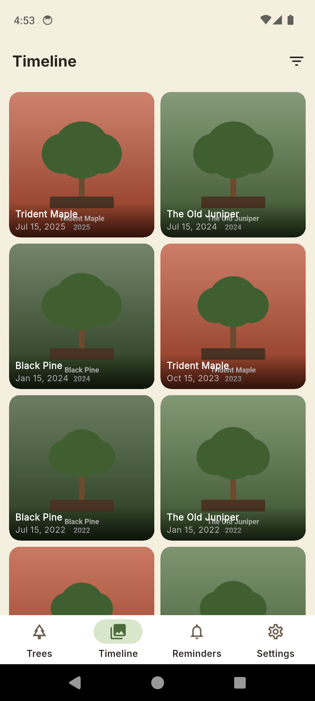 BonsaiLog global photo timeline feed across the whole collection, newest first