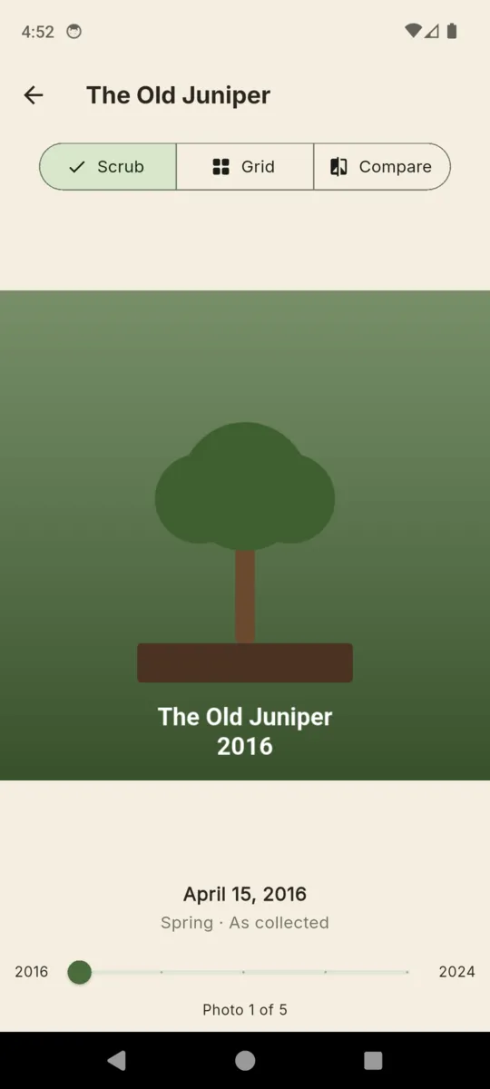 The BonsaiLog scrub view: one photo of The Old Juniper filling the screen, dated April 15 2016, with a year slider running 2016 to 2024 underneath