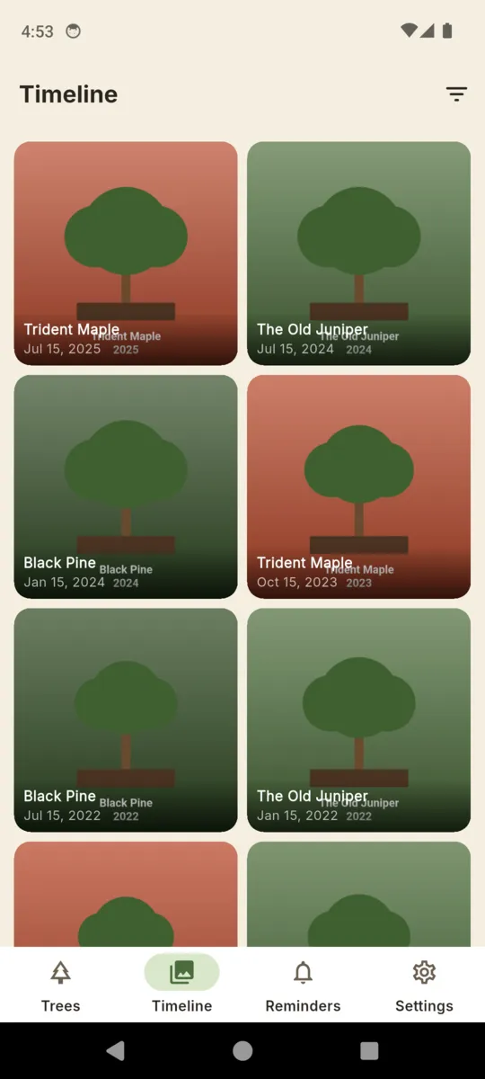 The BonsaiLog global timeline: dated photo cards from every tree in the collection in one feed