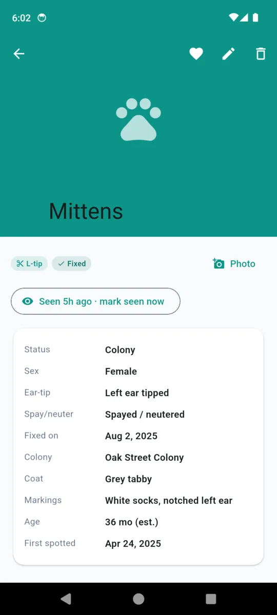 Mittens' record in CatColony: status colony, female, left ear tipped, spayed, fixed on August 2 2025, Oak Street Colony, grey tabby, white socks and notched left ear, 36 months estimated, first spotted April 24 2025
