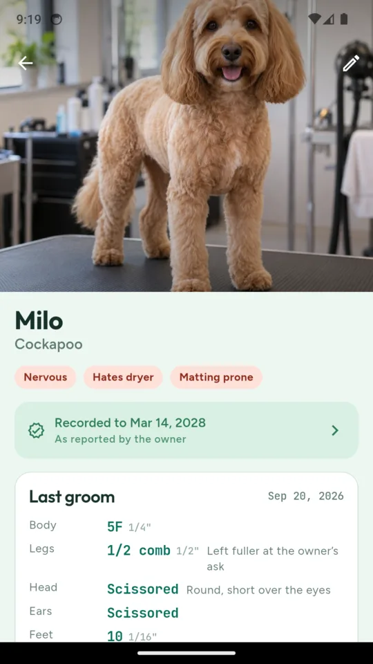 Milo the cockapoo’s card: a photo of him on the table, chips reading nervous, hates dryer and matting prone, vaccinations recorded to March 2028 as reported by the owner, and his last groom on 20 September