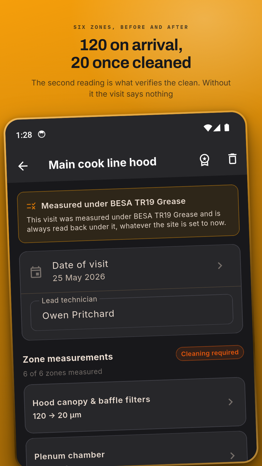 The summary: mean, worst point, the rule that triggered, and the post-clean verification.