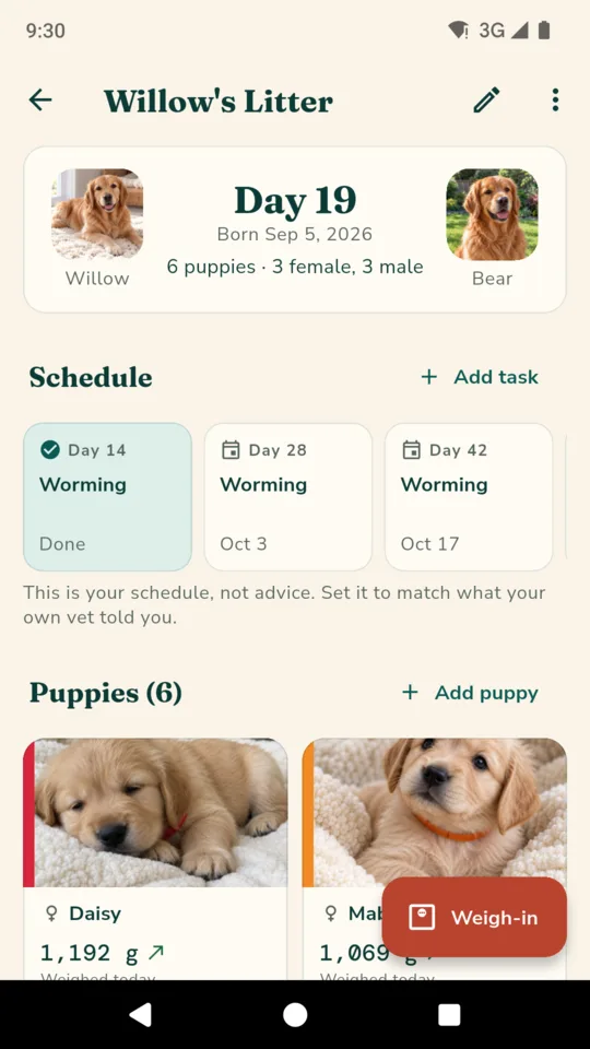 The litter board: each puppy in its collar colour with today's weight, the day count and the tasks due at the top