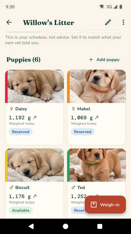 The puppies on the board: six collar-coloured cards with today's weights and who is reserved.