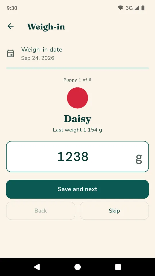 The morning weigh-in: puppy 1 of 6, the last weight shown, the new one typed in.