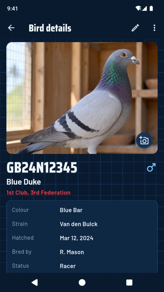 A bird: photo, colour, strain, hatch date, sire and dam.