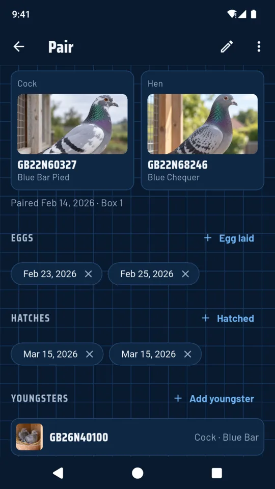 A pair: egg and hatch dates, and the youngsters with their own cards.