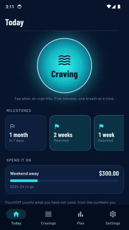 Milestones and a goal: $224.24 to go for a weekend away.