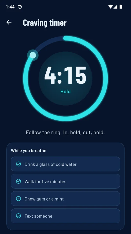 Craving timer: 4:15 left, hold, with your own list of things to do
