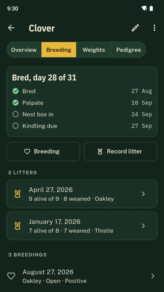 Clover’s breeding on day 28 of 31: bred, palpated, nest box and kindling dates.