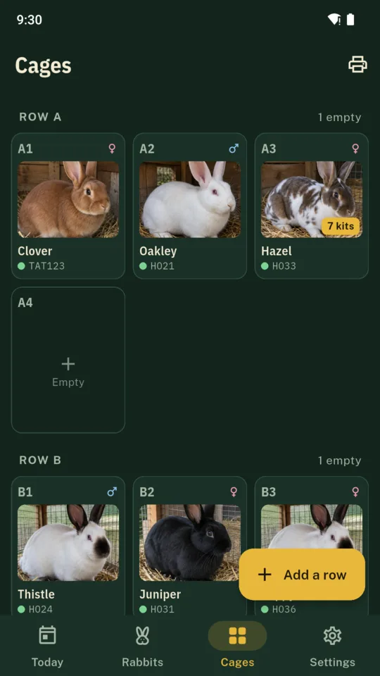 The cage map: row A with Clover, Oakley and Hazel’s litter of 7 kits