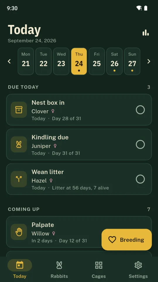 Today: a nest box, a kindling and a weaning due, with a palpation coming up