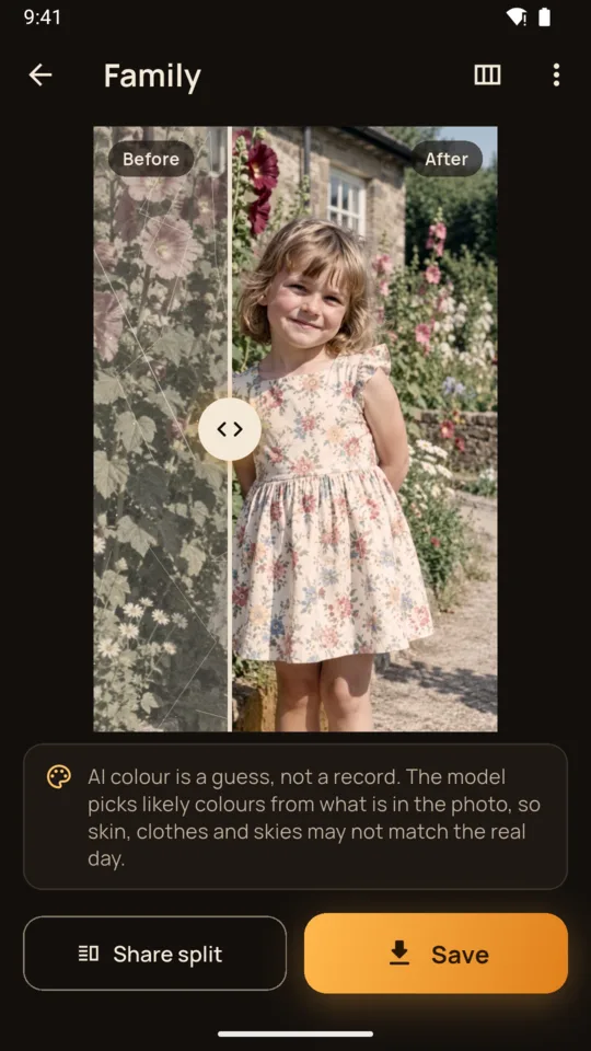 A black and white print with AI-generated colour, compared with the slider