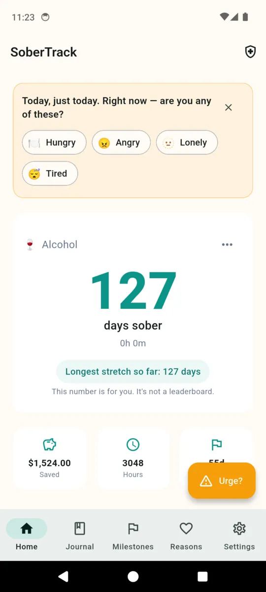 The SoberTrack home screen showing a HALT check-in card, a counter reading 127 days sober, the longest-stretch line and cards for money saved, hours and next milestone