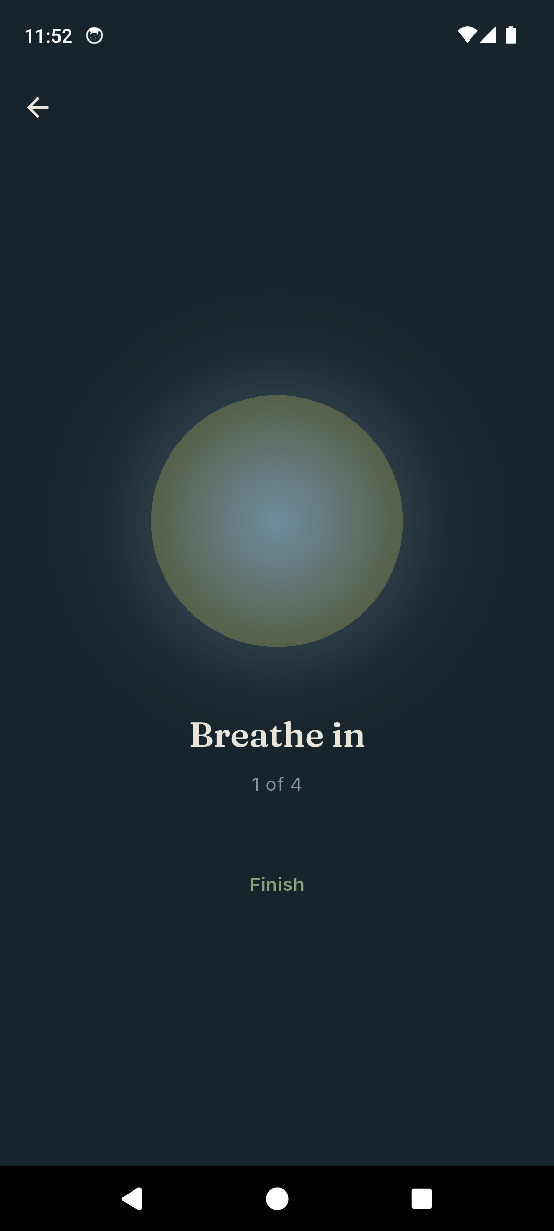 Tend guided breathing exercise with a calming visual pacer