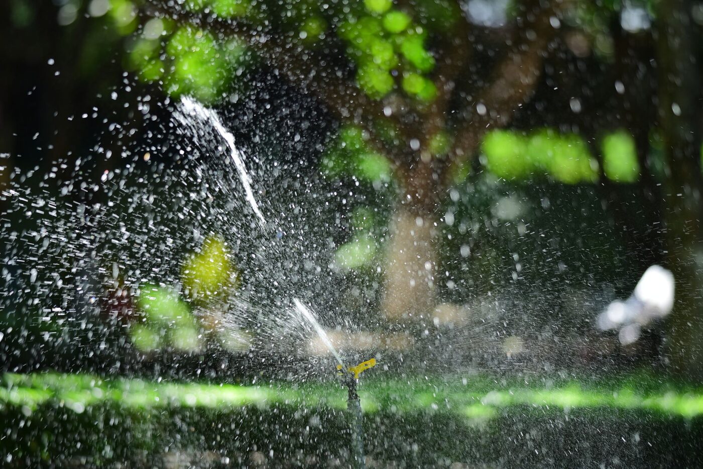 Garden sprinkler spraying water across a lawn