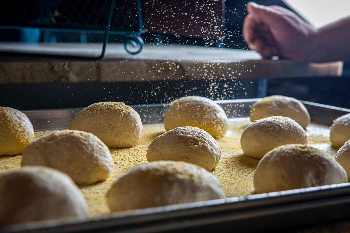 Portioned bread dough dusted with flour on a baker's tray
